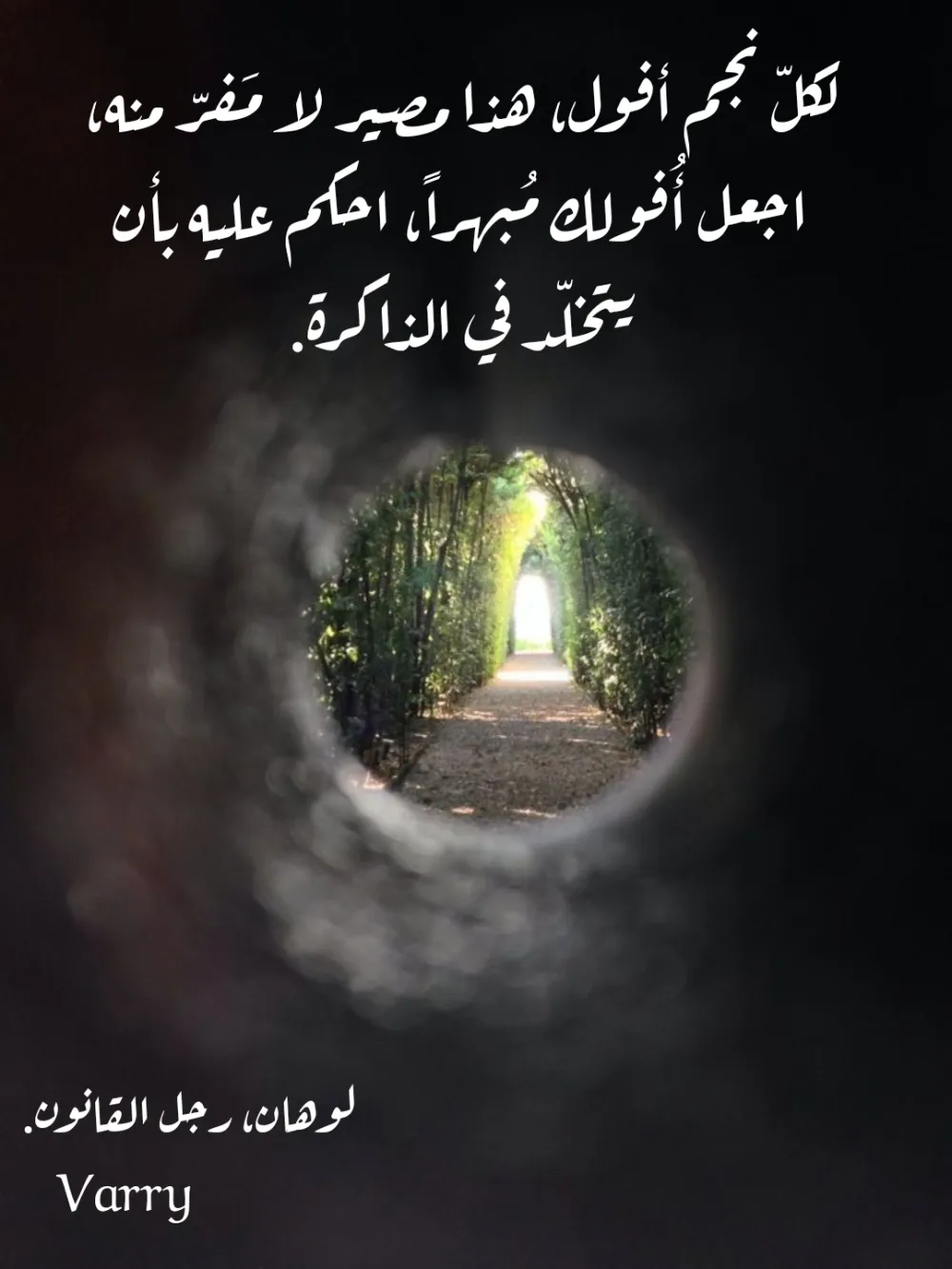 تصاميم ترويجية