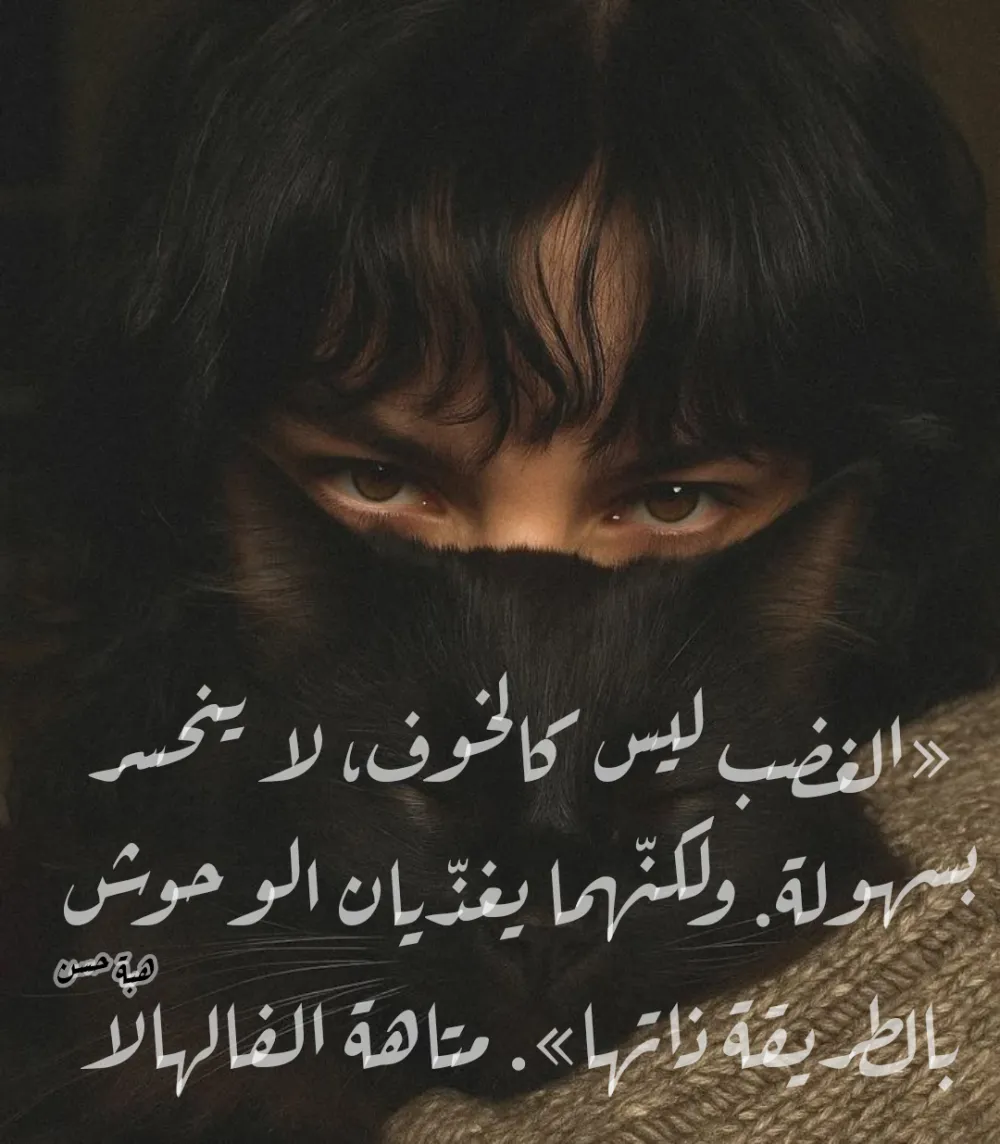 تصاميم ترويجية